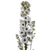 FLOR VARIADA