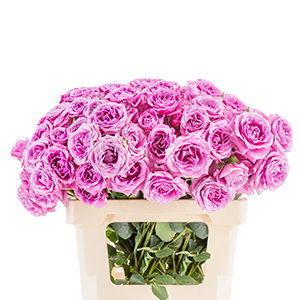 Imagen de flores