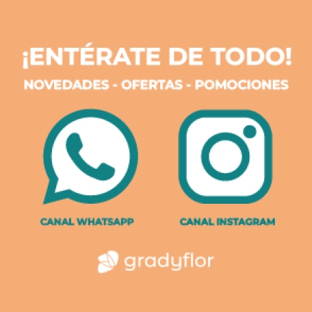 Únete y no te pierdas nada